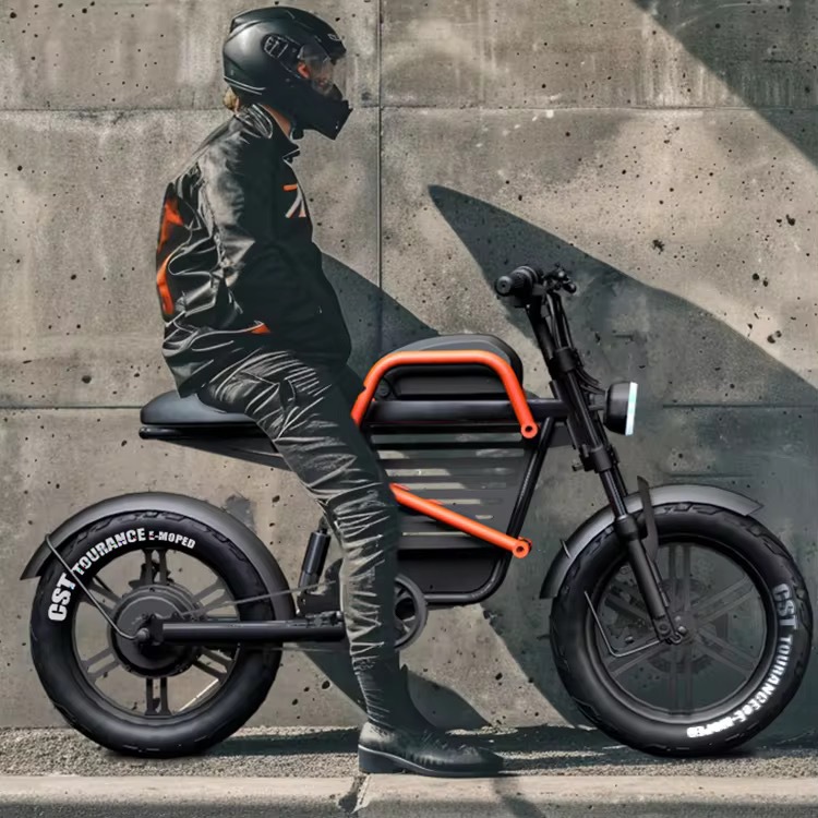 60V 20Ah WideTire Electric Mot - Commuting With Road Bike avis et prix
