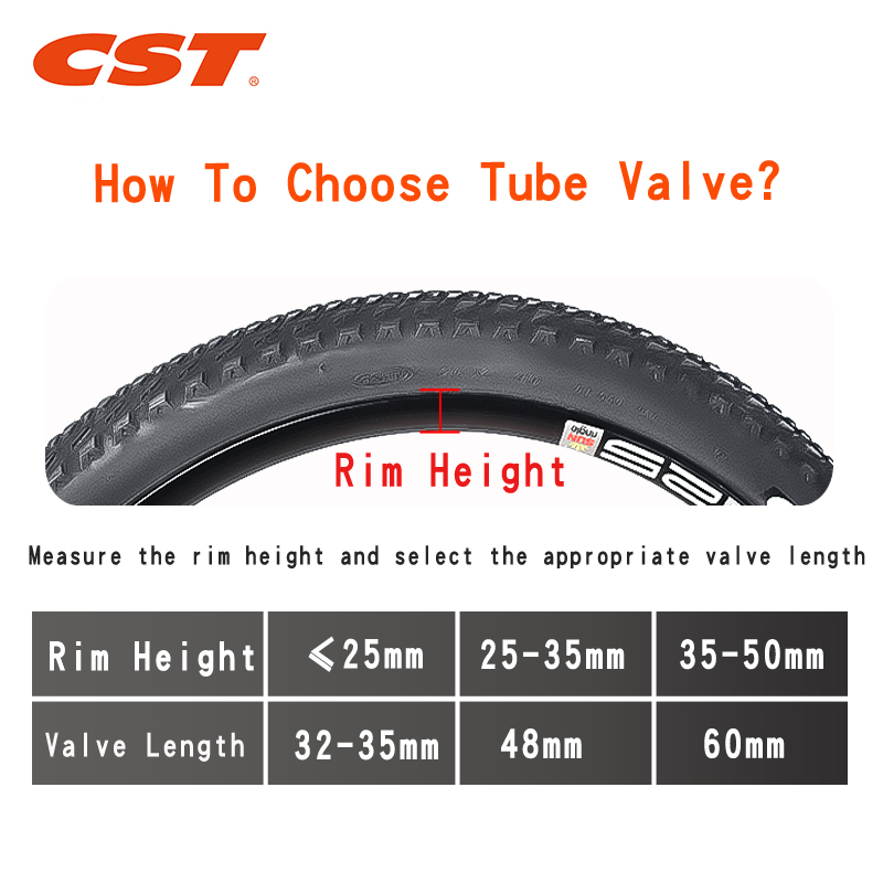 2PCS CST Bike Inner Tubes 20in - Inner Tube 700C avis et prix